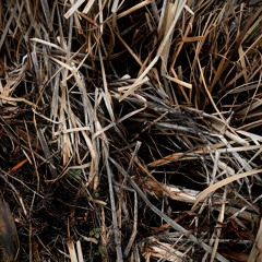 Exploration I (Unlearn to Remember)