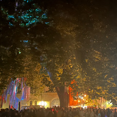 Audio Tribe - Endless Summergarte - 10.08.2024