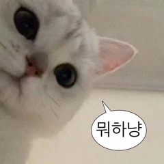 itsrealsense vol.11