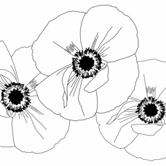 The Red Poppy-Two Minutes Silence (for Bass Clarinet, Horn and Double Bass)