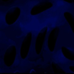 Tumultuous - VS. Bambi Fantrack (By New Real/Cat)