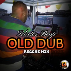 Selecta Benji - Old Dub Reggae Mix 2023