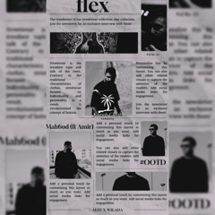 FLEX (ft AMIR)