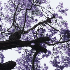 want me ⁠╥⁠﹏⁠╥⁠ (asagao)