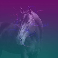 Ode to The Stallion