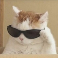 Can't Tell Me Nuttin Lofi