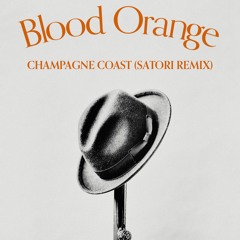 Champagne Coast (Satori Remix)