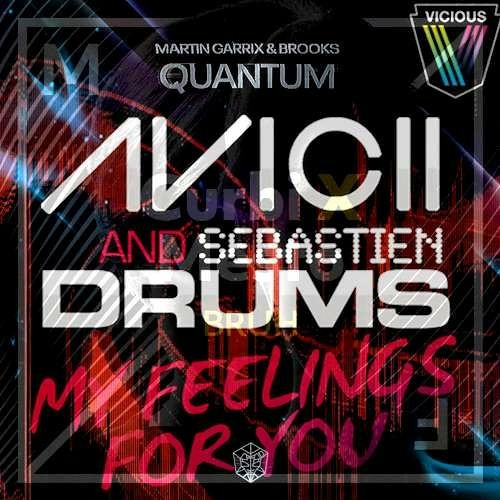 My Feelings For Quantum Bruh (Martin Garrix Tomorrowland 2022 Mashup)