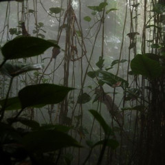 for you i hold my breath - slowed