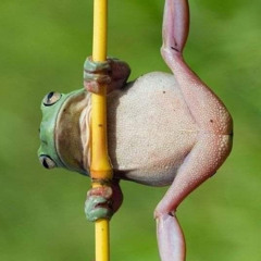 расширенное мышление 2