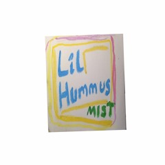 MIST (produced, as always, by lil hummus himself)