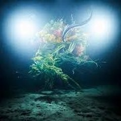 Louebeatz - The Flower Blooms Under The Abyss Of Separation