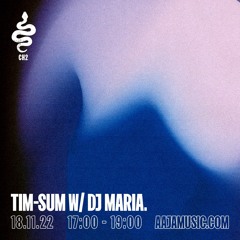 tim-sum w/ DJ Maria - Aaja Channel 2 - 18 11 22