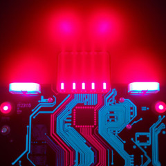 Euphoria Circuit