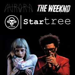 StarTree (AURORA VS The Weeknd)