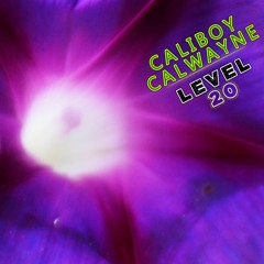 Level 20