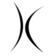 BURNING MAN Chris el Raton@Daydream Camp