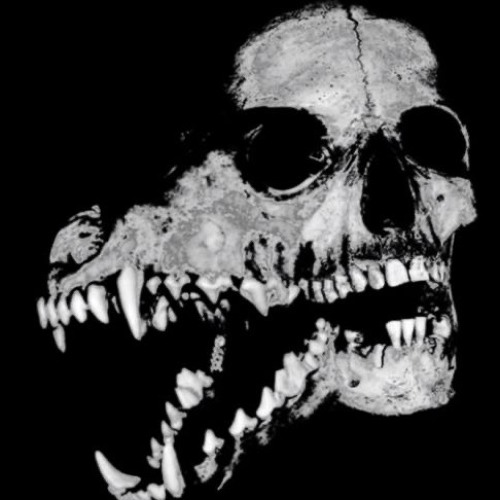 Monster-( YunSlash3r x Heyarnold)