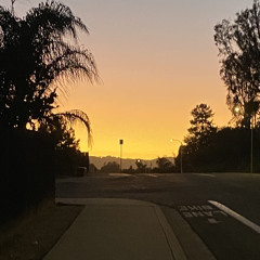 Playboi Carti - King Vamp(phasewave Remix) Slowed