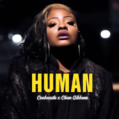 Human (Dnb Remake) Ceebeaats x Chan Gibbons