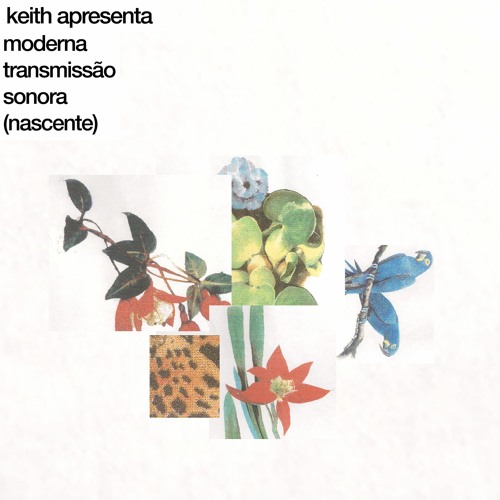 moderna transmissão sonora (nascente)