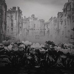 Hdsp : Tears Of Calm