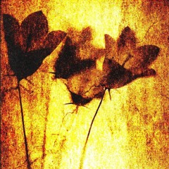 Mining Dust - Quenched