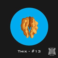 Devvek - Tmix Live Set N/13 - Ondes Martenot