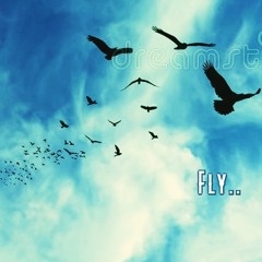 Fly