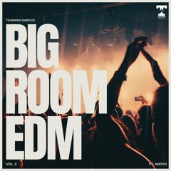 Big Room EDM Vol 2 feat. AndyG - Sample Pack