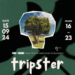 Tripster - Baraka Sunday Lounge