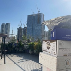 א.נשים ומקומות | בין שתי ערים | שירי שוב