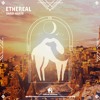 Shadi Kario - Ethereal (Cafe De Anatolia)