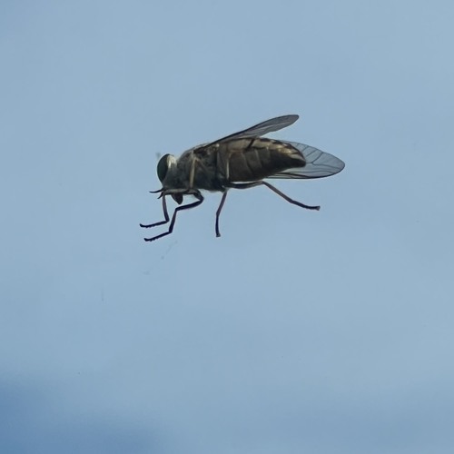 thesun (prod.dispatcherrr)