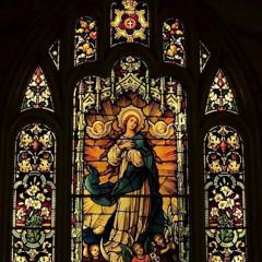 Pray (1shimly x just1)