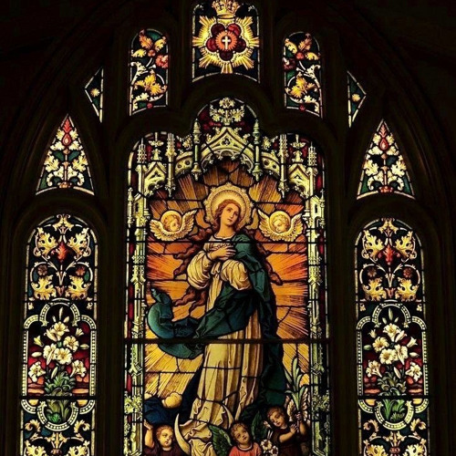Pray (1shimly x just1)