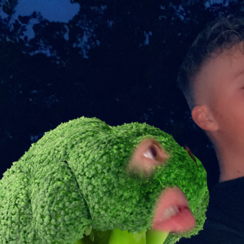 Wolli - Rauchmelder