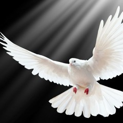 Ft Stephen Granville - When Doves Cry (Paradiso Mix)