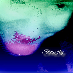 Vic Bahn- Stay Fly (Ft. Mackszy)