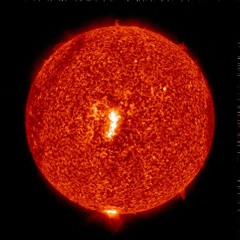 OSenseiJ Department 7