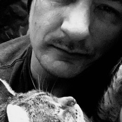 In your arms tonight (80’s new wave)