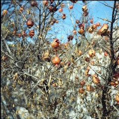 Farmer Evan (feat: PDJK)