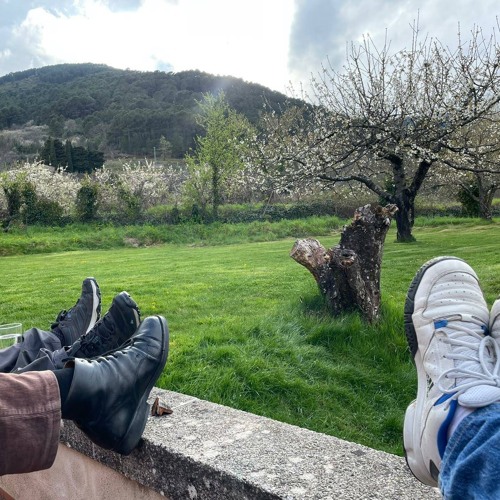 compo20230226 (Paisaje)