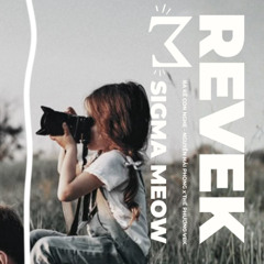 Ba Kể Con Nghe (Revek Remix · Chill House) - Nguyễn Hải Phong x Thế Phương VBK | Sigma Meow