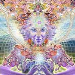 drippysoup - sacred mushroom ancient 808 +freestyle+