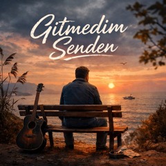 Gitmedim Senden