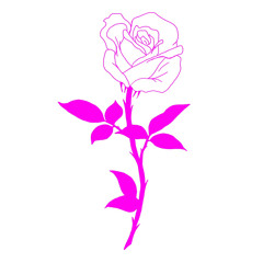 Spaghetti (Instrumental)