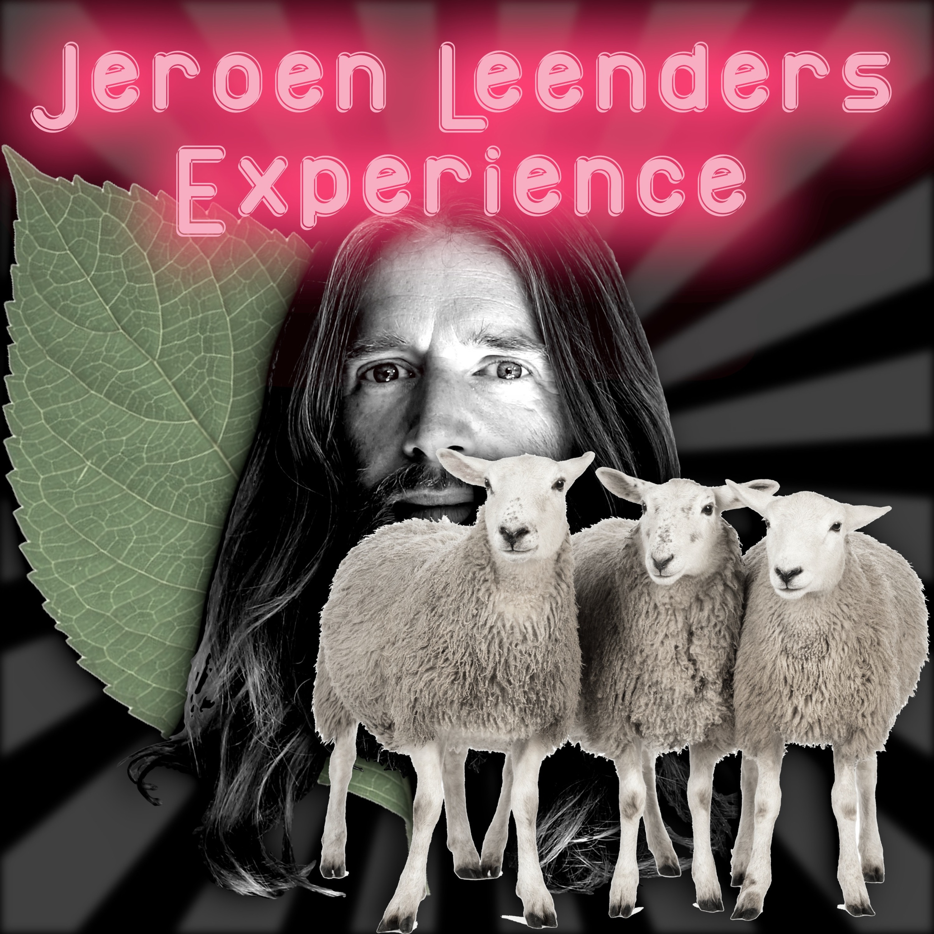 Jeroen Leenders Experience