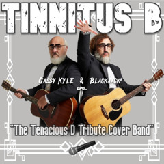 07 Tinnitus B - SEXY BACK (Way Too Sexy Cover of Justin Timberlake)
