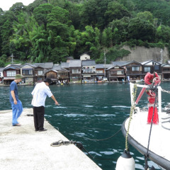 明るい未来 <never young beach-cover>